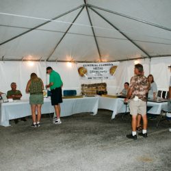 COPYRIGHT         KATHY WATERS